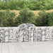 Gabionkurver buede 20 stk 200x30x80/100 cm galvanisert jern
