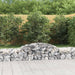 Gabionkurver buede 13 stk 300x50x40/60 cm galvanisert jern