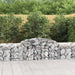 Gabionkurver buede 11 stk 300x50x60/80 cm galvanisert jern