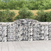 Gabionkurver buede 17 stk 300x50x100/220 cm galvanisert jern