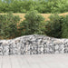 Gabionkurver buede 6 stk 400x50x60/80 cm galvanisert jern