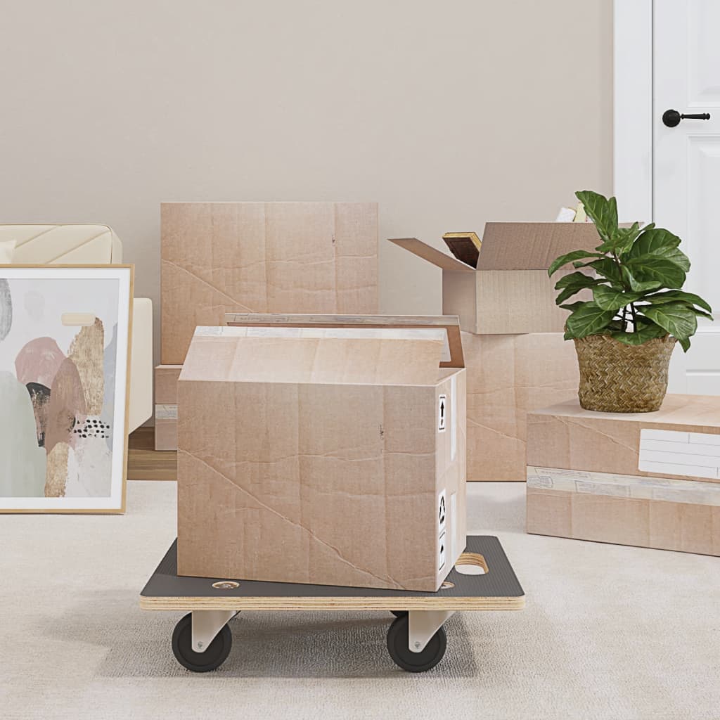 Transporttraller 2 stk rektangulær 50x35x11,5 cm 250 kg